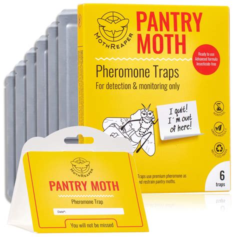 Buy Kitchen Pantry Moth Traps - Prime Pantry Moth Traps with pheromones ...