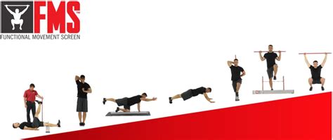 Functional Movement Screen Test Protocol 的图像结果