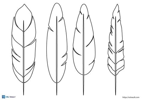 81 Free printable feather templates (PDF) - ESL Vault