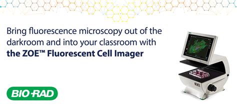 Government Scientific Source