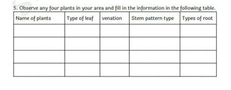 answer this please I need help I need good answers - Brainly.in