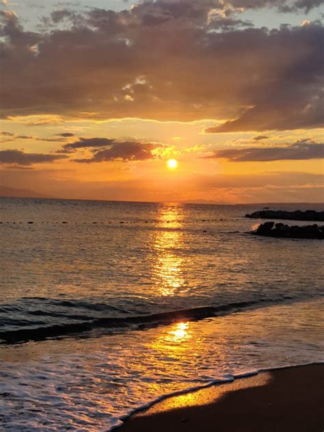 Image result for Sunset Python Snake