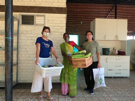 Rent-A-Farm Monsoon 2024-25 – Upaj Farm - Grow It Yourself Kits