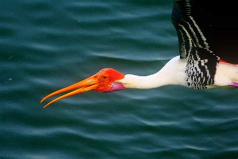 23 Updated Picnic Spots In And Around Chennai (with photos) For Your ...