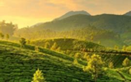 PG4ME SERVICES PVT LTD - Flights, Hotels, Bus, Holidays, Visa