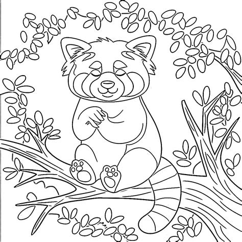 Red Panda coloring pages - ColoringLib