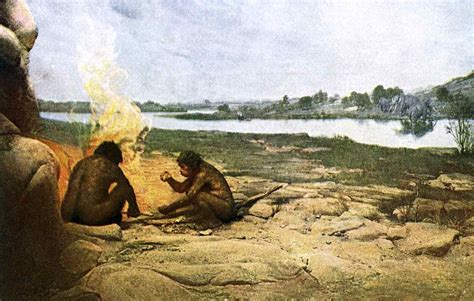 Stone Age History 的图像结果