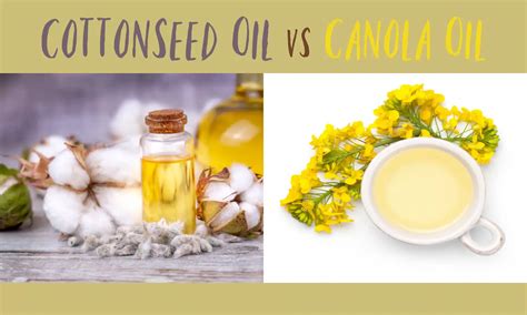 Canola Oil Vs Sunflower Oil For Frying at David Sells blog
