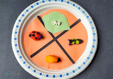 Image result for Ladybug Science Activities