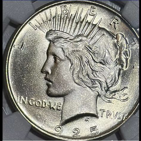 1925 Peace Dollar NGC MS-67+ CAC - Bob Paul Rare Coins