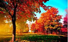 Autumn Wallpaper by Autumn Wallpaper Exles For Your Desktop Background Autumn Wallpaper