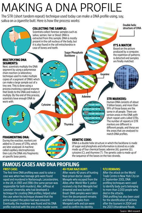DNA Profiling 的图像结果