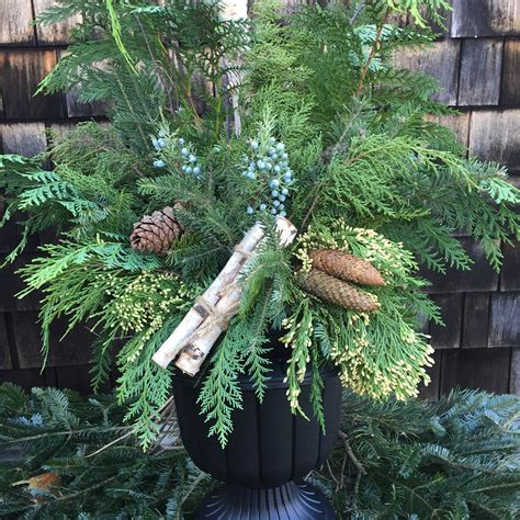 Holiday Porch Pots (includes black urn) | Kennedy's Country Gardens ...