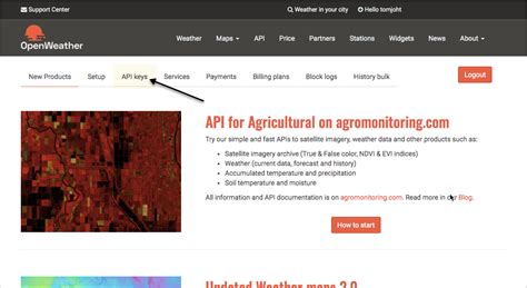 Image result for OpenWeatherMap API Key