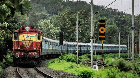 Snake bite on Nilambur-Shornur passenger train? Ayurveda doctor ...