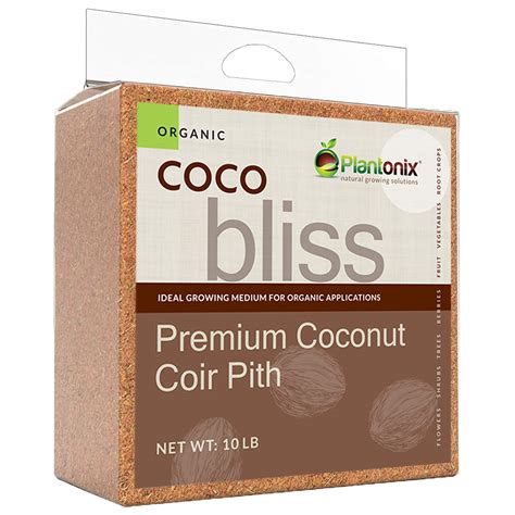 The Magical World Of Coco Bliss And Harry Potter: An Enchanting Exploration