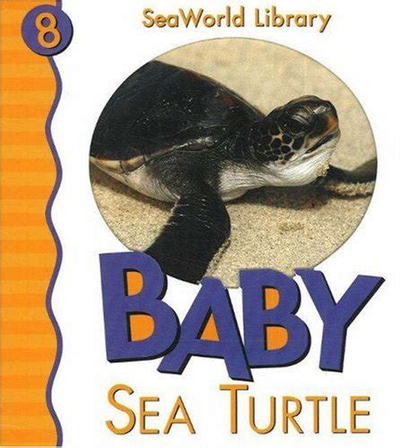 Baby Sea Turtle San Diego Zoo (Seaworld Library) : Pingry, Patricia A ...