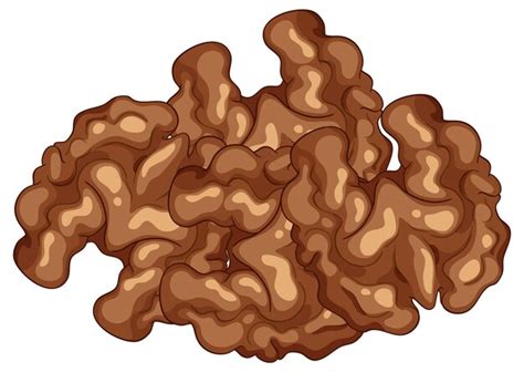 Page 9 | Walnut shells Vectors - Download Free High-Quality Vectors ...