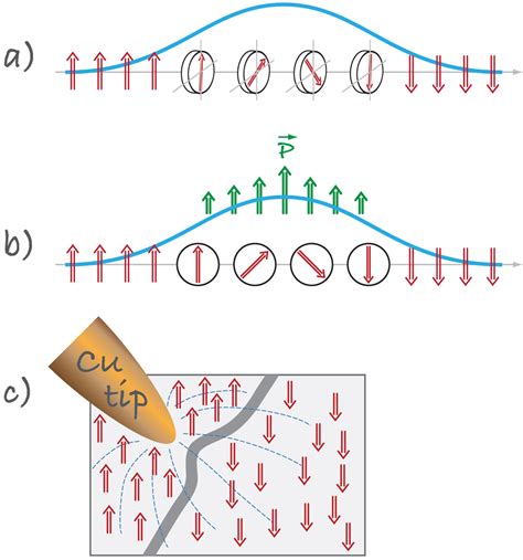 Multiferroics 的图像结果