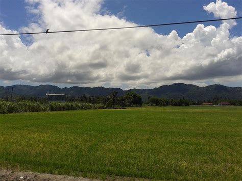 THE BEST Balik Pulau Hiking Resorts 2025 (with Prices)