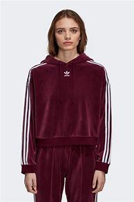 Image result for Adidas Originals Women's Trefoil Crop Hoodie