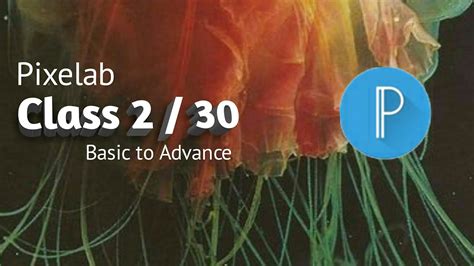 Image result for Pixelab Tutorial