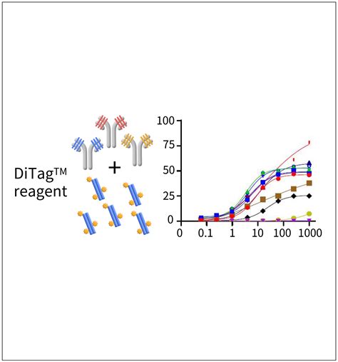 Image result for ADC Formulation Development