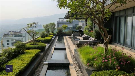 Rooftop Garden Guide: Design & Maintain Your Urban Oasis – Ongrid Design