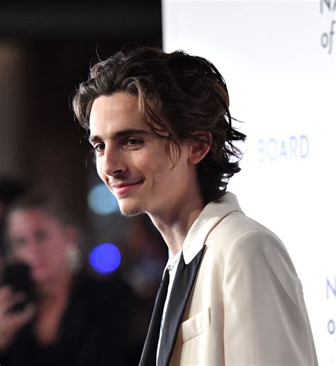 Timothée Chalamet's Mustache Has Divided the Internet | PS Beauty