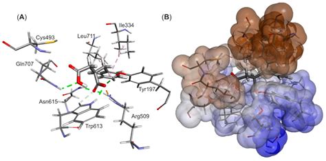 Modeling of the Reaction Mechanism of Enzymatic Radical C–C Coupling by ...
