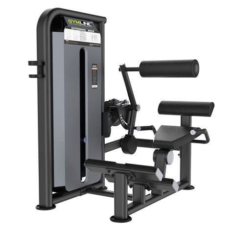 GYMLINE PLUS U2031C BACK MACHINE – Gymline Plus Private Limited