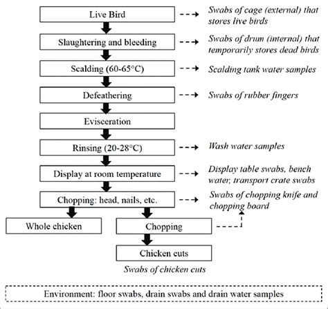 Image result for Food Process Flow Chart