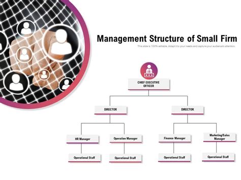 Image result for Management Structure and Mini Bio