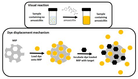 Colorimetric Sensing of Amoxicillin Facilitated by Molecularly ...