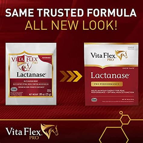 Buy Vita Flex Pro Horse Lactanase Performance Supplement Single Serve ...