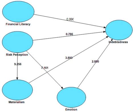 Determinants of Indebtedness: Influence of Behavioral and Demographic ...