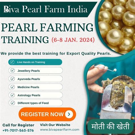Pearl Farming (Moti Ki Kheti) Training on new technology for Export ...