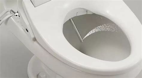 High-Tech Japanese Toilets May Spread Antibiotic-Resistant Superbugs