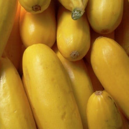 Discover Ooty Fresh Farm Vegetables Products, Reviews & Information | LBB