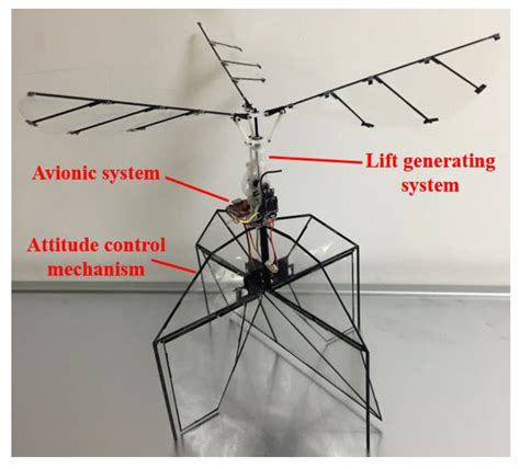 Parametric Study on Aerodynamic Performance of a Flapping Wing Rotor ...