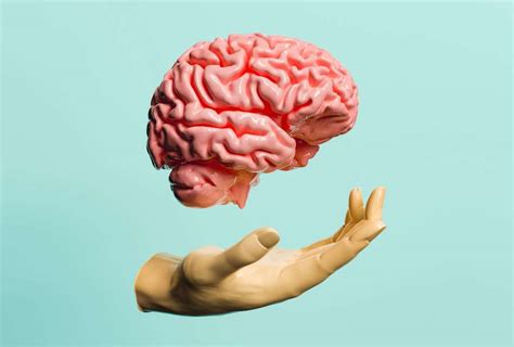 Up Mind Body Connection 的图像结果