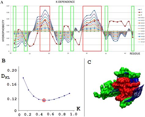 In Silico Modeling of the Influence of Environment on Amyloid Folding ...