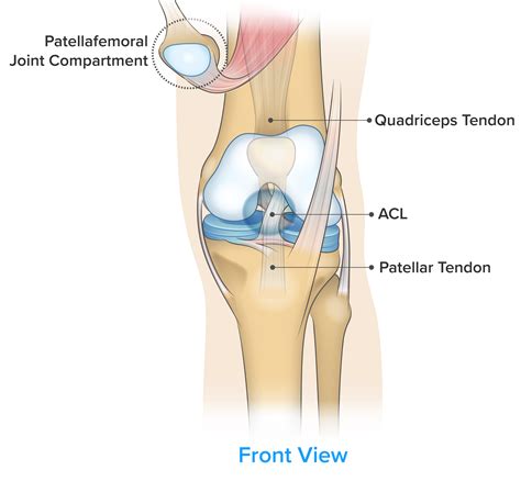 Complete Guide to Knee Pain - Spring Loaded Technology