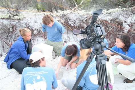 Observation Test 的图像结果