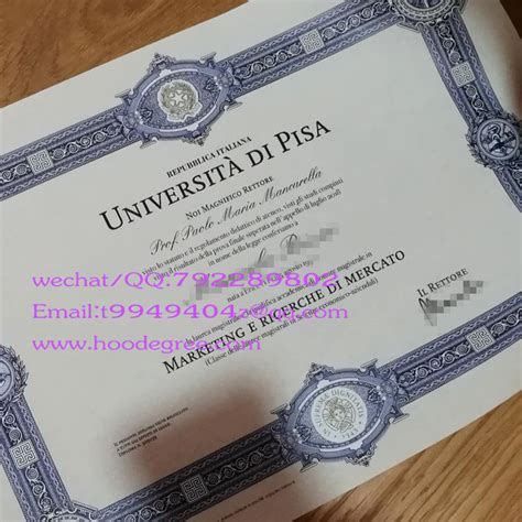 意大利比萨大学毕业证University of Pisa degree certificate - 意大利 - 和弘留学毕业咨询网