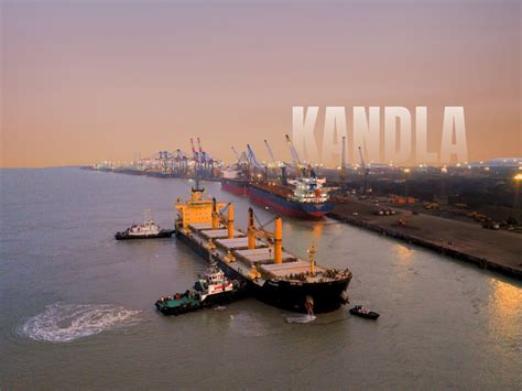 "Historic milestone": DPA Kandla handles 40 ships in 24 hours