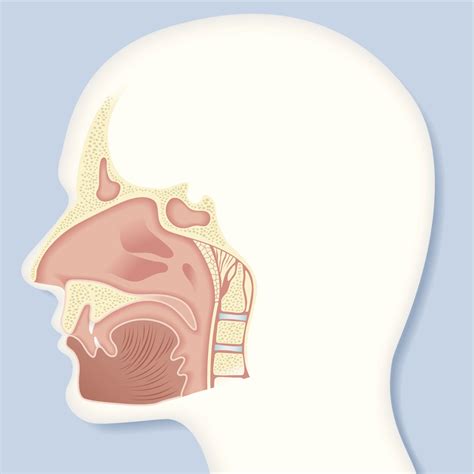 New Guidance on Using Biologics to Treat Chronic Rhinosinusitis with Nasal Polyps, Led by UCSF ...