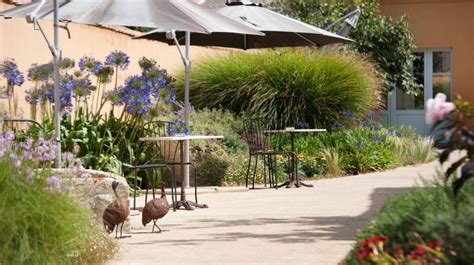 Albergo Diffuso Aquae Sinis – Green Albergo diffuso in Cabras, Oristano ...