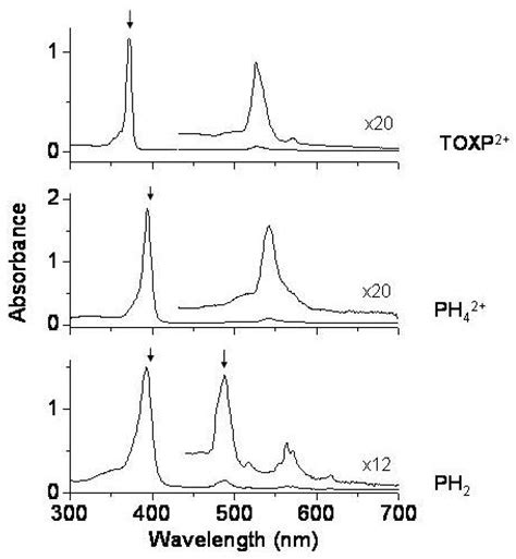 Structures of Annulenes and Model Annulene Systems in the Ground and ...