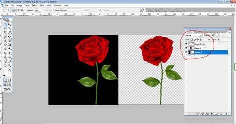 Image result for Using Photoshop Transparent Layers